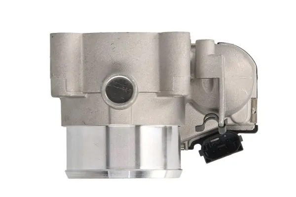 Throttle Body ENT310045