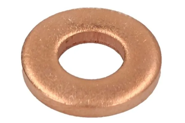 Seal, injector holder ENT250248/1