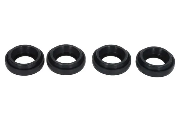 Seal, injector holder ENT250562