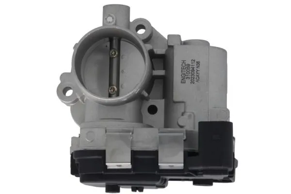 Throttle Body ENT310059