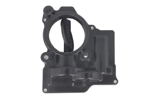 Throttle Body ENT310030