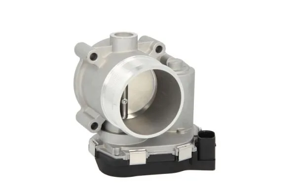 Throttle Body ENT310029