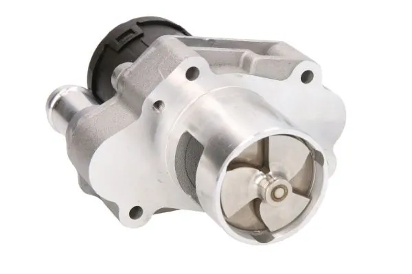 EGR Valve ENT500125