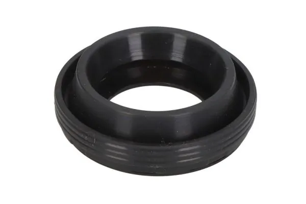 Seal Ring, injector ENT250549