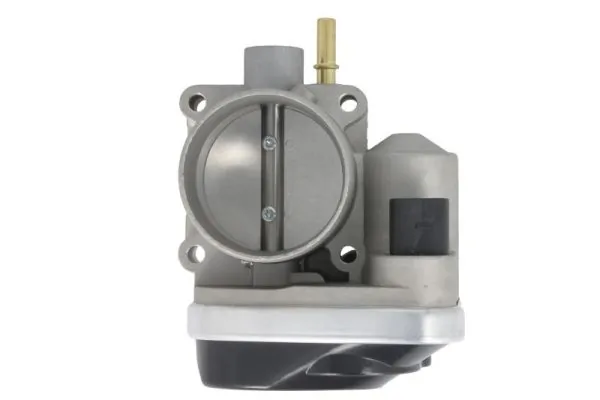 Throttle Body A2C59511232