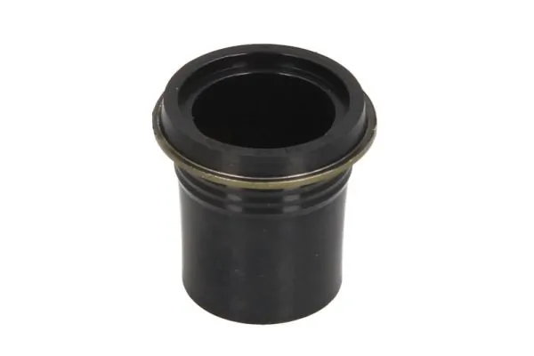 Seal Ring, injector ENT250525