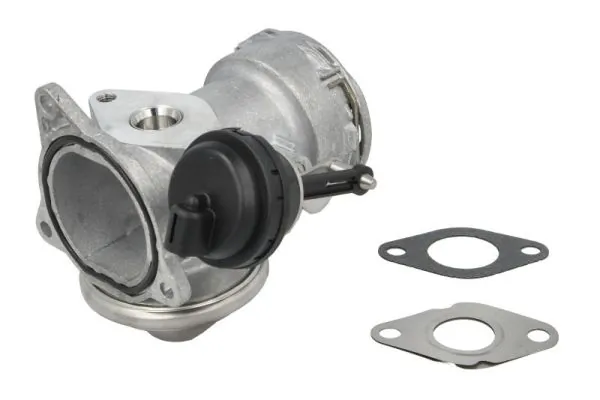 EGR Valve ENT500010