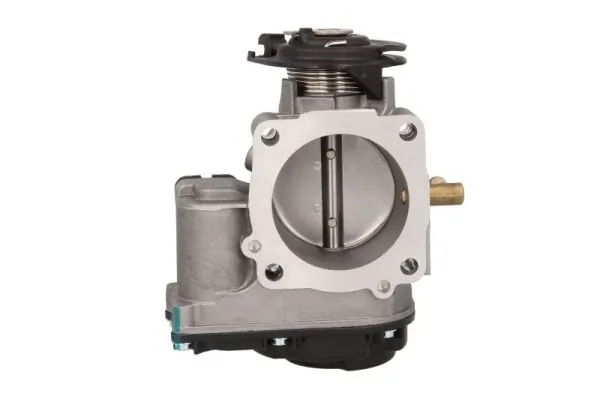 Throttle Body ENT310024
