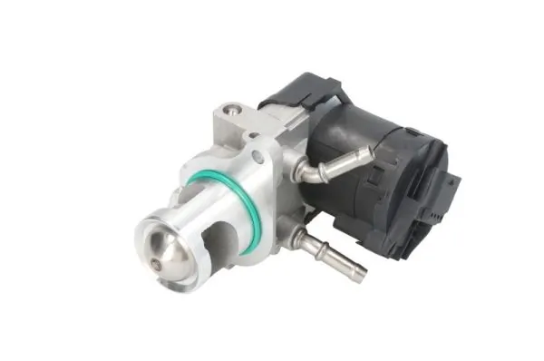 EGR Valve ENT500124