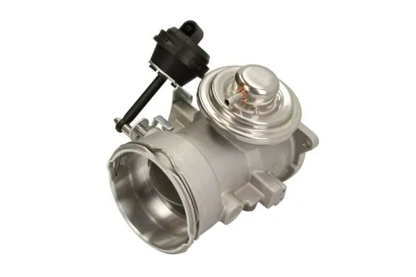 EGR Valve ENT500064