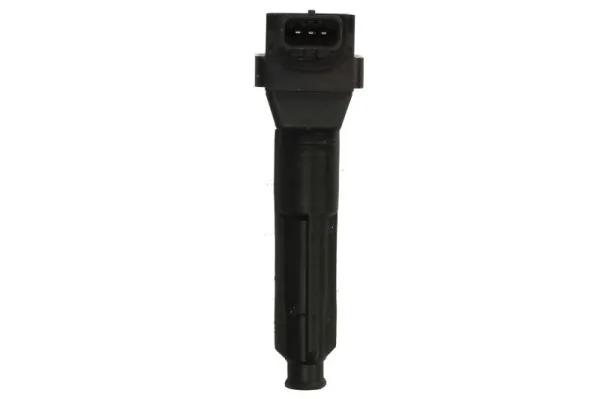 Ignition Coil ENT960096