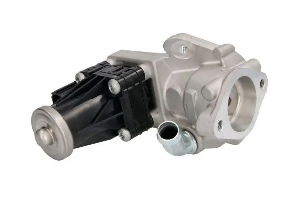 EGR Valve ENT500058