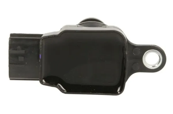 Ignition Coil ENT960101