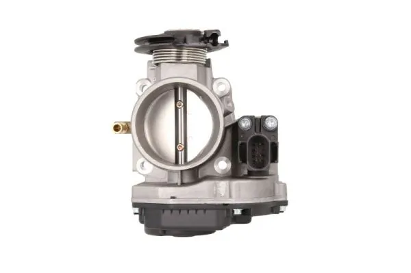 Throttle Body ENT310024