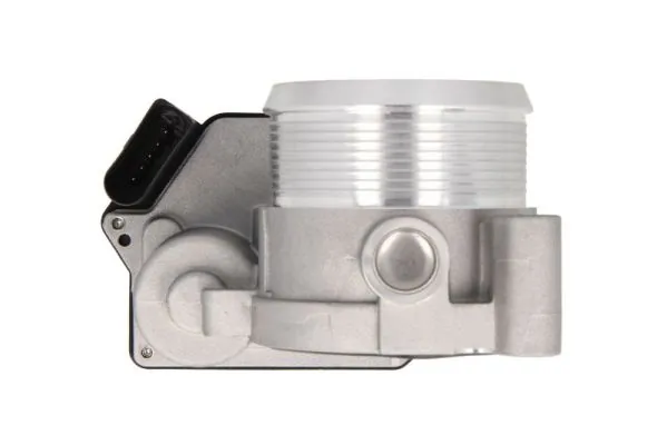Throttle Body ENT310033