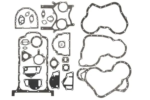 Gasket Kit, crankcase ENT000227