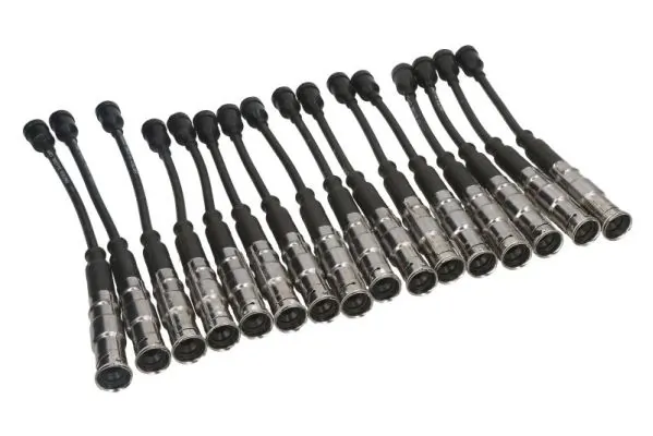 Ignition Cable Kit ENT910301