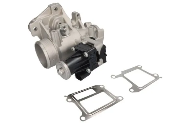 EGR Valve ENT500152