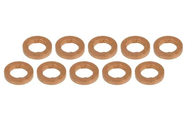 Seal, injector holder ENT250031