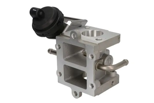 EGR Valve ENT500159