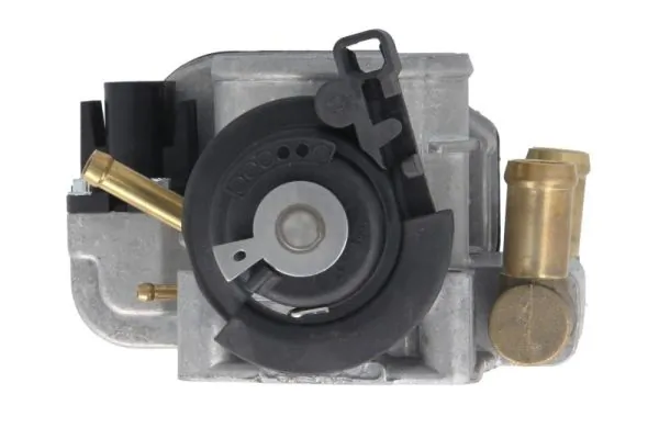 Throttle Body ENT310008