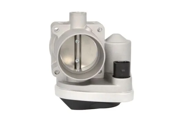 Throttle Body ENT310028