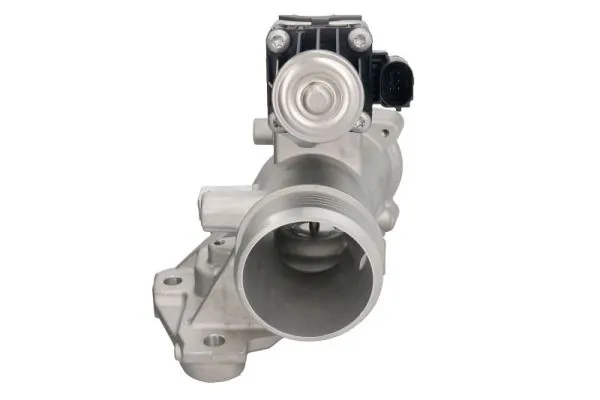 EGR Valve ENT500152