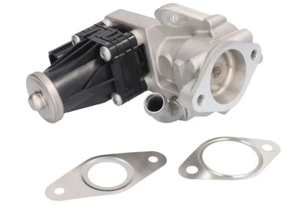 EGR Valve ENT500058