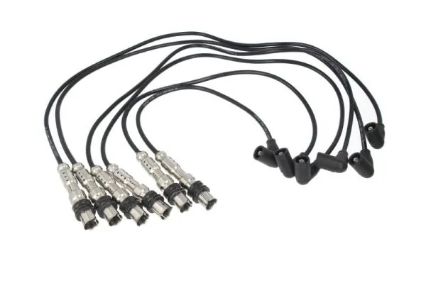 Set kabel pengapian ENT910427