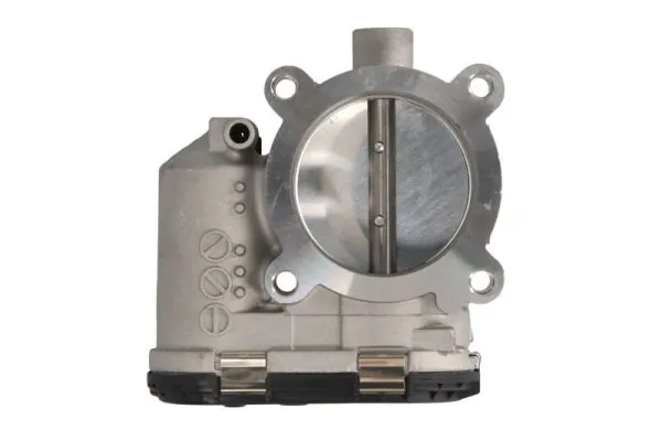 Throttle Body ENT310045