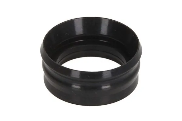 Seal Ring, injector ENT250522