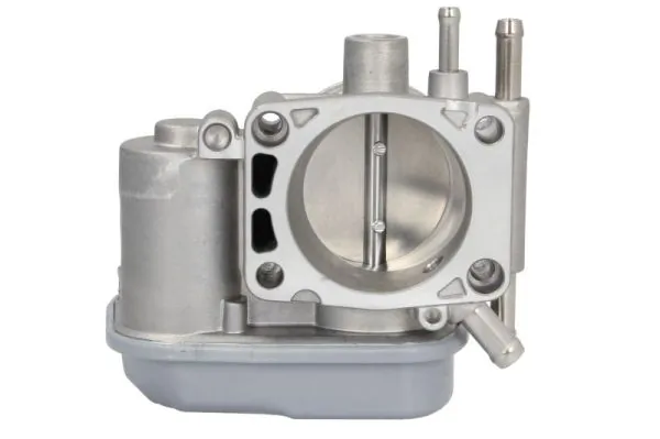 Throttle Body ENT310044