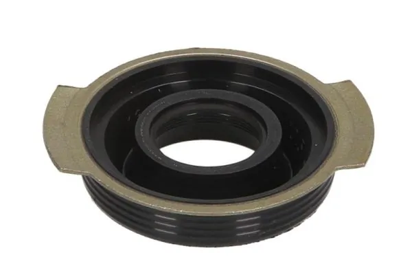 Seal Ring, injector ENT250523