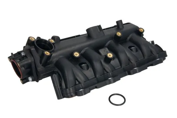 Intake Manifold Module ENT320121