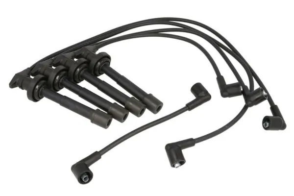 Ignition Cable Kit ENT910042