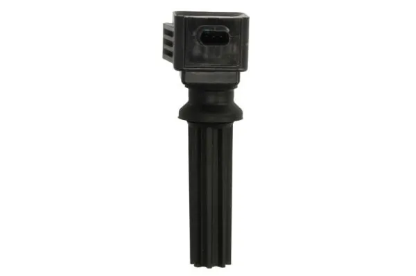 Ignition Coil ENT960080