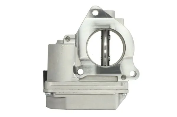 Throttle Body ENT310052