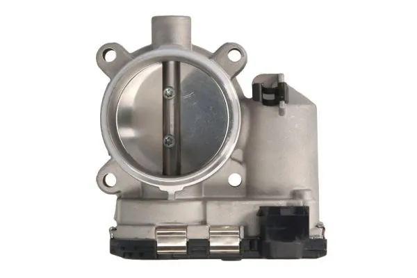 Throttle Body ENT310045