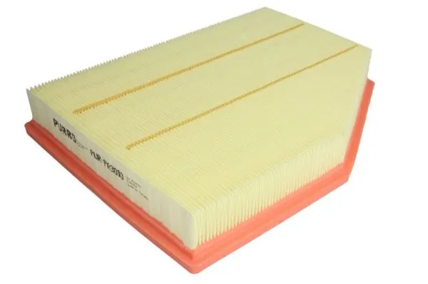 Air Filter PUR-PA3010