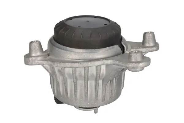 REINHOCH RH11-3105 Mounting, engine