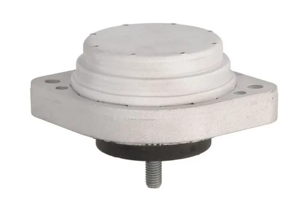 REINHOCH RH11-3062 Mounting, engine