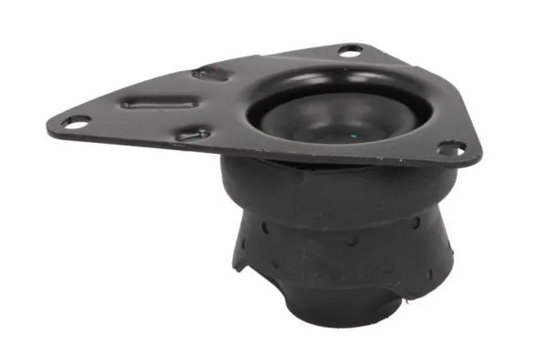 REINHOCH RH11-0026 Mounting, engine