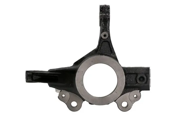 REINHOCH RH08-1001 Steering Knuckle, wheel suspension