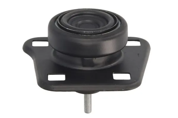 REINHOCH RH11-4004 Mounting, engine