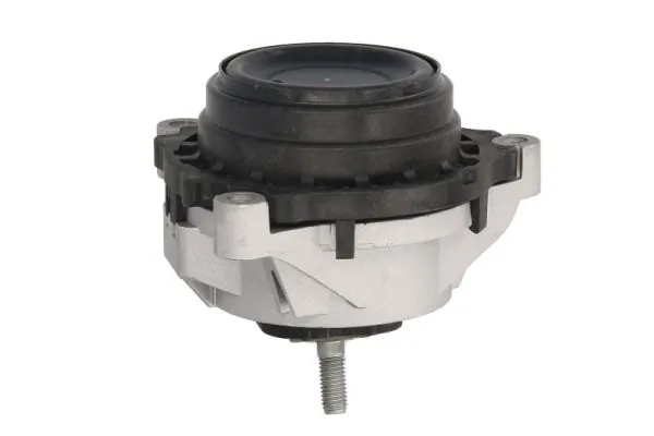 REINHOCH RH11-3071 Mounting, engine