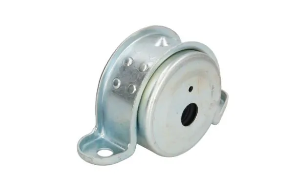 REINHOCH RH11-5064 Mounting, engine