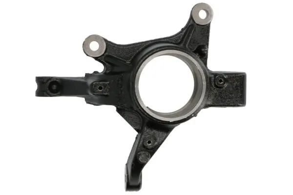 REINHOCH RH08-2036 Steering Knuckle, wheel suspension