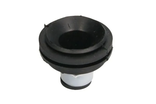 Mounting, engine RH11-2109