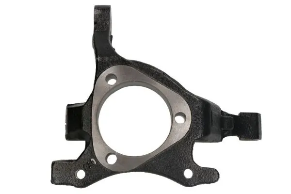 Steering Knuckle, wheel suspension RH08-5004