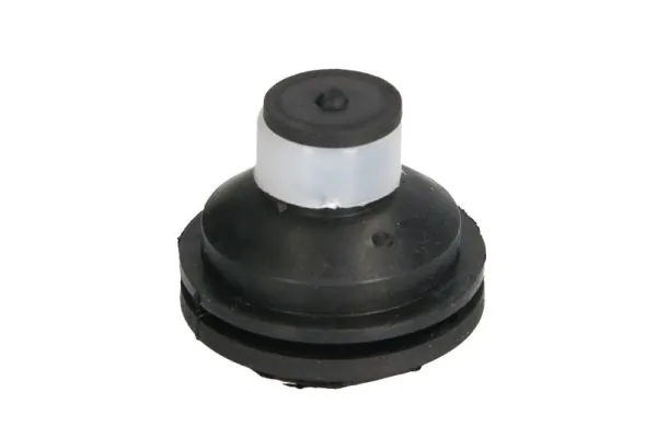 Mounting, engine RH11-2109